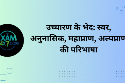 उच्चारण के भेद स्वर, अनुनासिक, महाप्राण, अल्पप्राण की परिभाषा