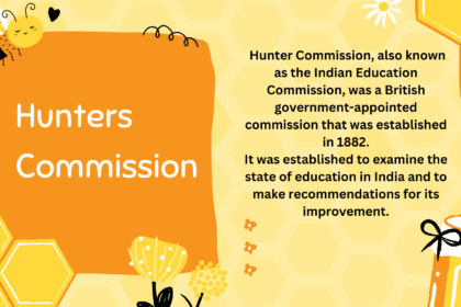 Yellow-and-Orange-Bees-Daily-Agenda-Slide-1