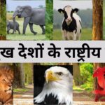 national-animal-list