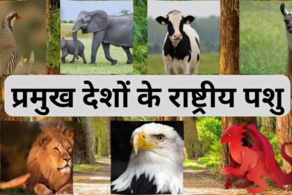 national-animal-list