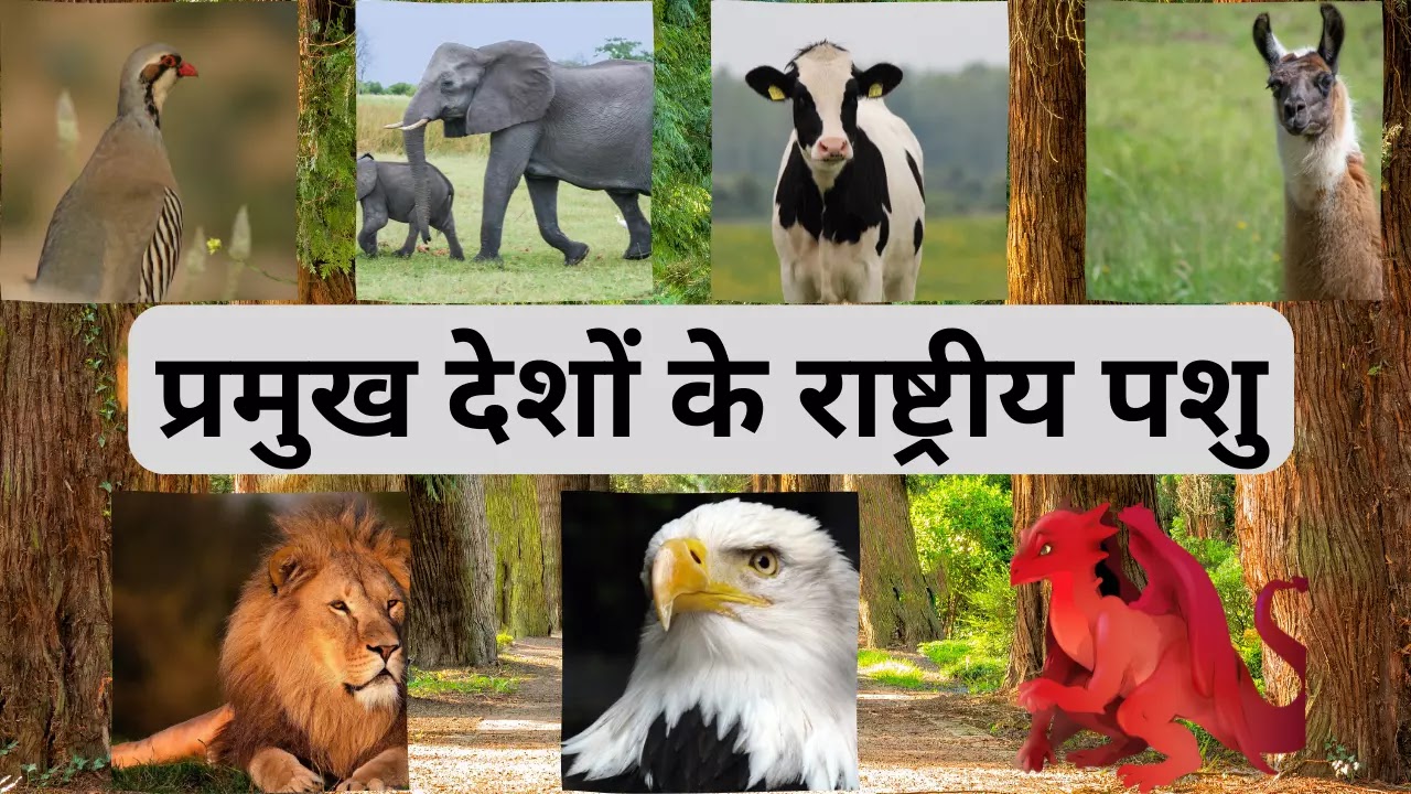 national-animal-list