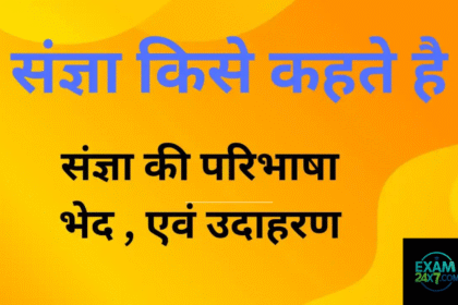 संज्ञा (Sangya in Hindi) – परिभाषा, प्रकार, उदाहरण और महत्व
