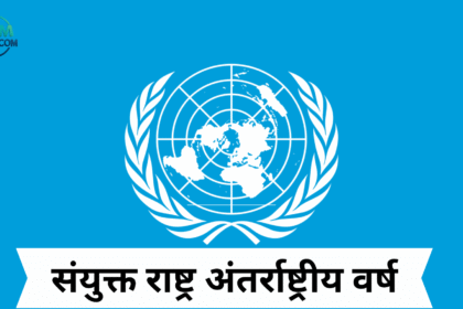 संयुक्त राष्ट्र अंतर्राष्ट्रीय वर्ष