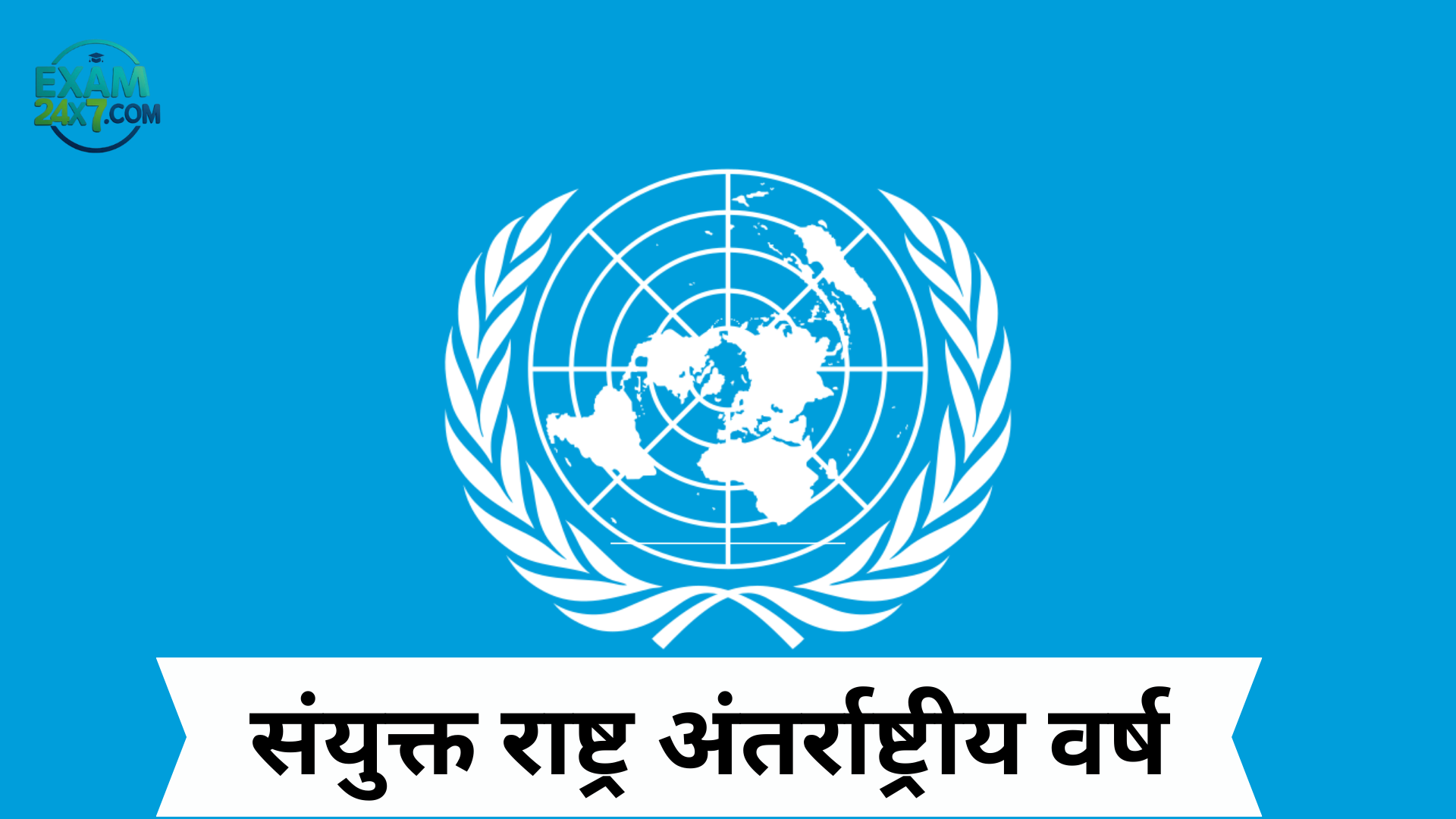 संयुक्त राष्ट्र अंतर्राष्ट्रीय वर्ष