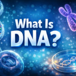 What Is DNA